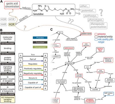 A Birds-Eye (Re)View of Acid-Suppression Drugs, COVID-19, and the Highly Variable Literature